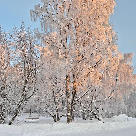 Tilava Uudistettu Perheasunto Apartman Rovaniemi Kültér fotó