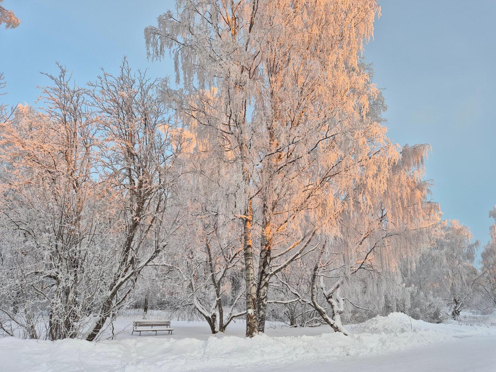 Tilava Uudistettu Perheasunto Apartman Rovaniemi Kültér fotó